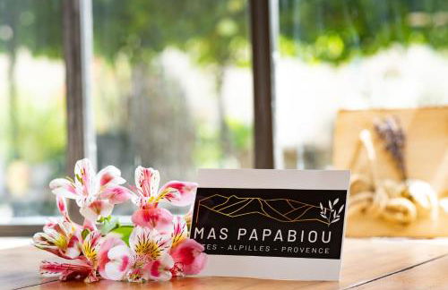 MAS PAPABIOU - Foto 19