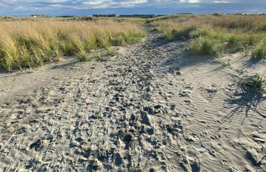 Tidal House #10 - Ocean Shores Chalet - Foto 13