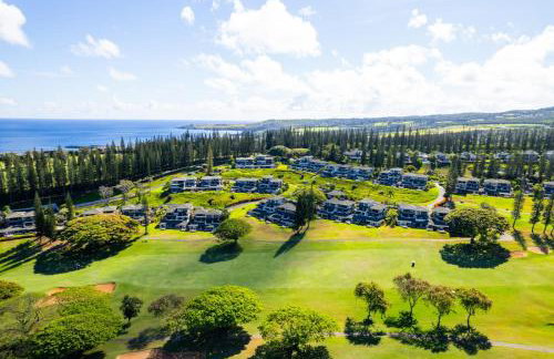 Kapalua Golf Villas 2 Free cars KBM Resorts Large Bedrooms 2 Units 3 Bedrooms ML-2189 - Foto 40