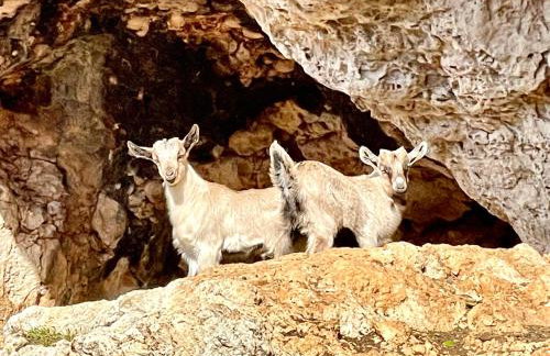 Roumatsali home - Hidden 2BR historical gem - Foto 21