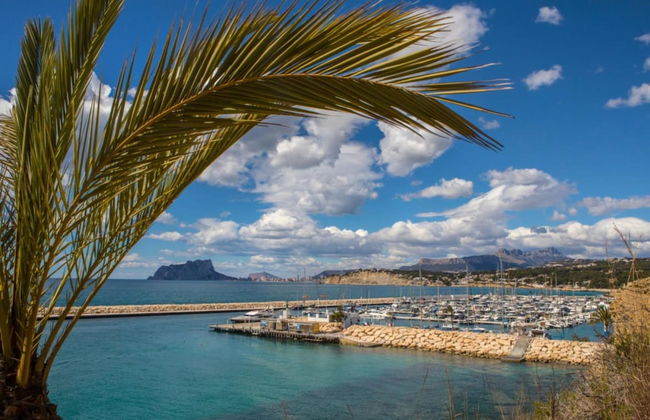 Avatar in Bah a de J vea - Foto 20