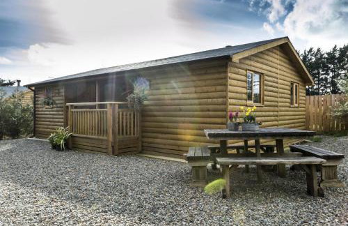 Laurel Lodge - 2 Bedroom Log Cabin - St Florence - Foto 15