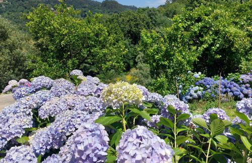 Casa do Penedo - Quinta de Fundevilla - Foto 59