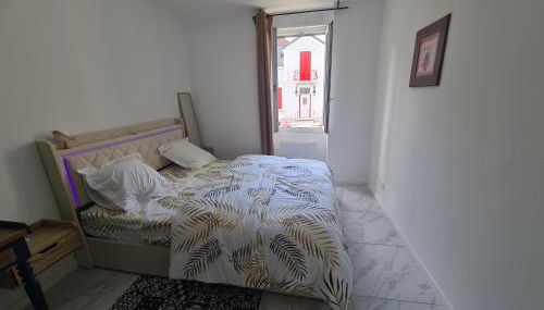 Rive gauche Rive droite Appartements Cosy très bien situés - Foto 3