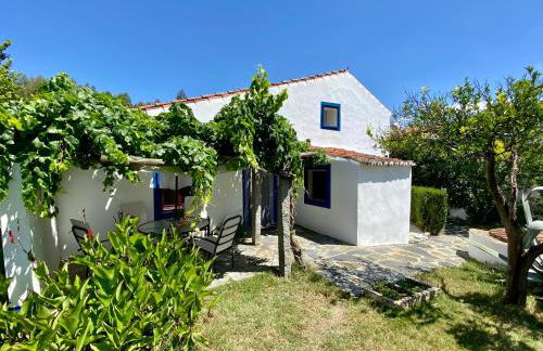 Quinta Alfaval - Foto 58