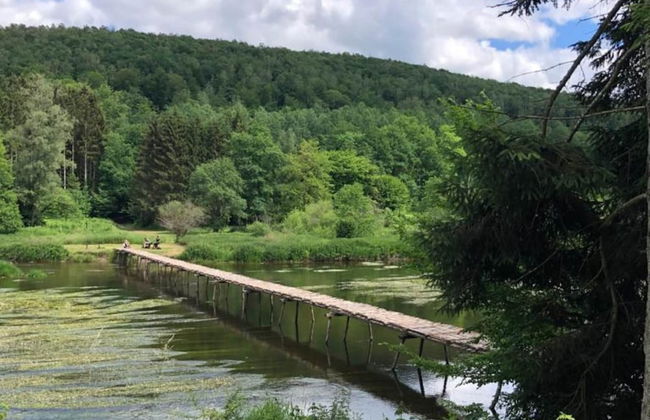 Spacious Holiday Home in Vresse-sur-semois With Terrace - Photo 36