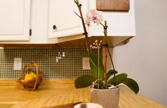 Grandma's House at Rosewood Lodge - Foto 37