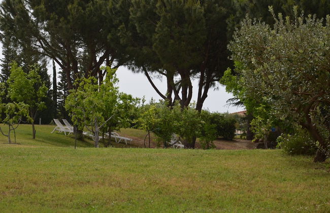 agriturismo borgo piazza - Photo 65