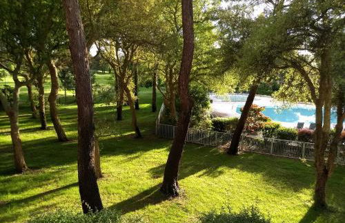 Albertine appt 112 - Foto 1