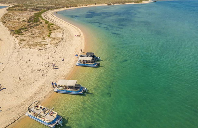 Deserta and Farol Islands Cruise - Photo 5