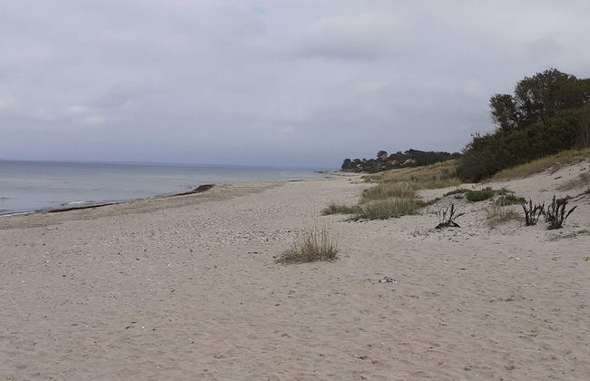 5 Star Holiday Home in Dronningmolle - Foto 66