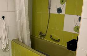 Apartman Staro Petrovo Selo - Foto 12