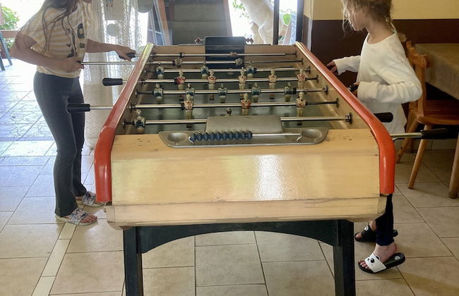 Domaine de L'Amitié - Foto 36