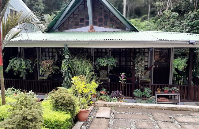 Casas Guaney - Foto 6