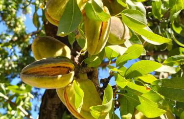 La Provence vous Attend - 2ème étage - Foto 33