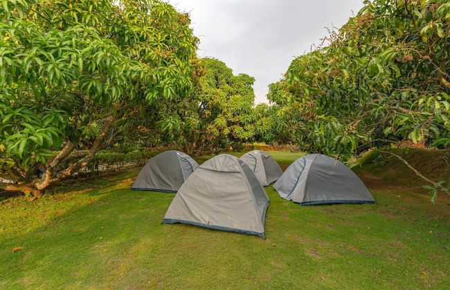 Q Mango Resort - Foto 6