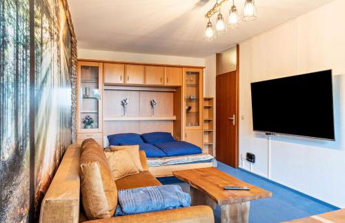 Ribeiro Cachoeira - Foto 11