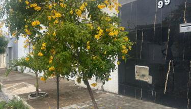 Lar doce Lar - Foto 4