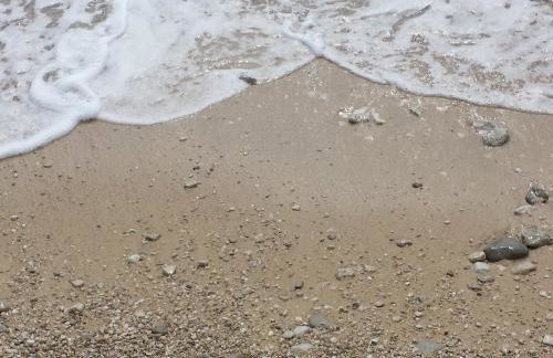 Apartments Stakic - Foto 56