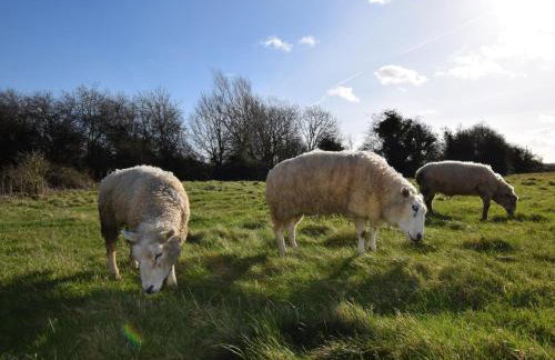 2 Bed in Cirencester oc-cc094 - Foto 13