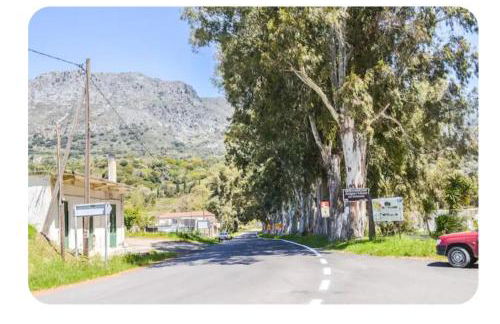 Kamilos apartments - Photo 3