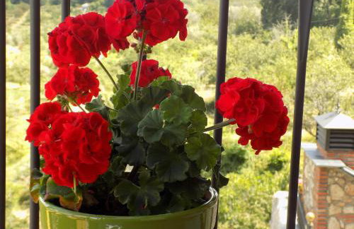 Casa Rural Generoso - Foto 38