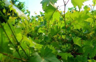 Apartments Sunset Jadranovo - Photo 35