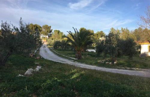 CampoParaíso Jaén-Casa Rural - Foto 39