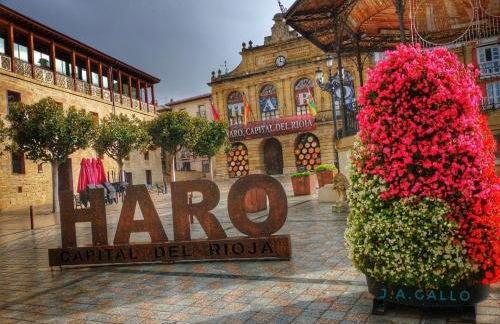 Garnacha Tinta VT-LR-2179 - Photo 39