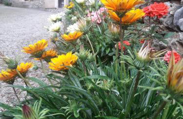 Anna's country villa - Foto 63