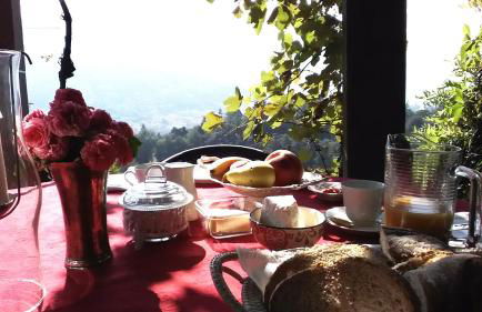 Villa Ceppeto - Foto 22