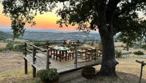 Agriturismo Meridiana - Foto 4, Garden