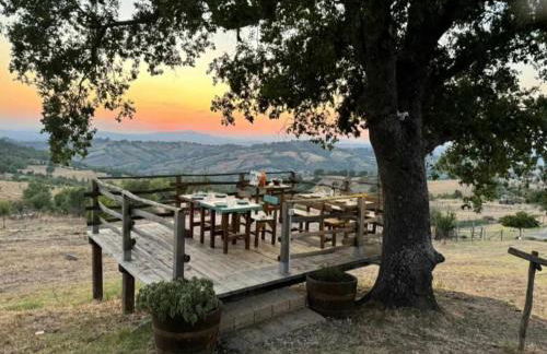 Agriturismo Meridiana - Foto 4