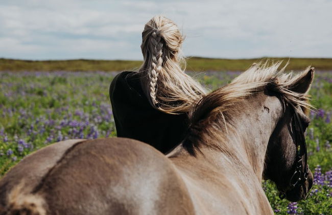 Sleeping with the Horses - Foto 12