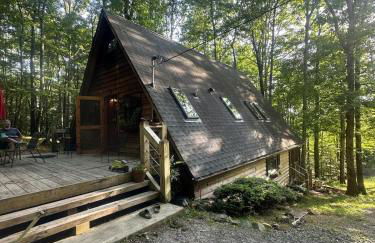 Bearly Behavin - Foto 19