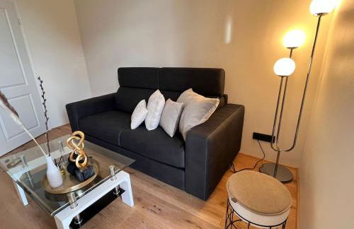 Royal Haus Chemnitz 3- Balkon nahe Zeisigwald - Foto 18