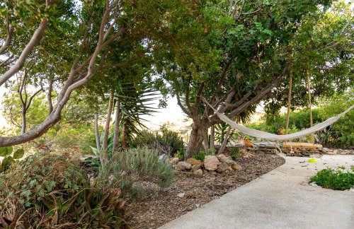 Eklekti House - Foto 37