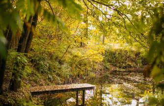 Ostoja Rakówiec - Foto 29