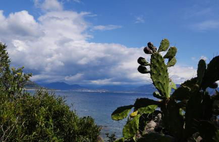 Les Figuiers - Foto 9