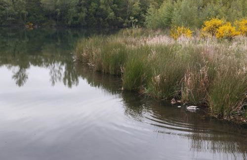 Appartement vue riviere - Foto 35