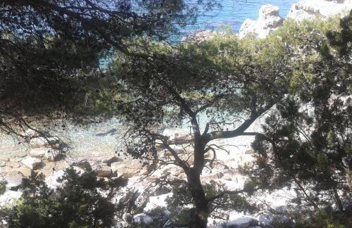 Apartmani SLAVKO TUKA - Foto 17