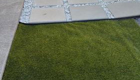 The Tree House - Foto 3