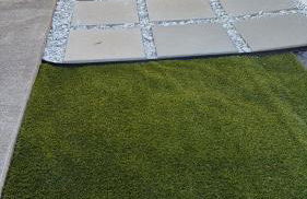 The Tree House - Foto 3