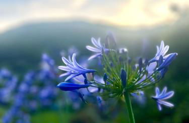 EVELYN'S HOME - Giardino&BBQ - Foto 20