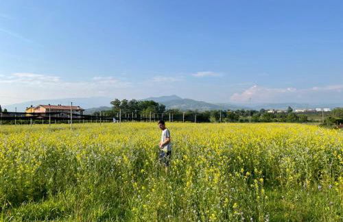 Agriturismo Fior di Maggio - Foto 8