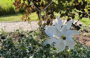 Ferienhaus Wiesenkoje - Insel Rügen - Ostsee - Foto 32