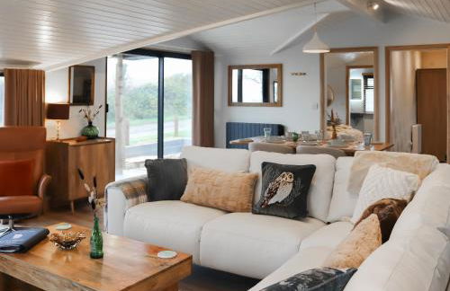 Gwdihŵ - Uk45625 - Foto 4