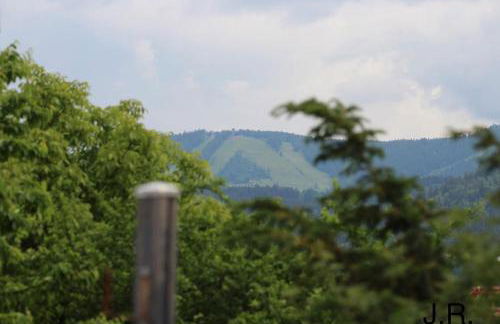 Ferienwohnung Raith - Foto 14