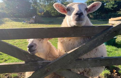 The Bolthole barn with wood-fired hot tub - Foto 19