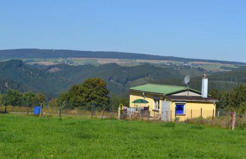 Auf der Weide - Foto 1